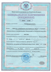 Special permission for the right to carry out security activities