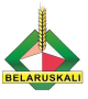 JSC BELARUSKALI